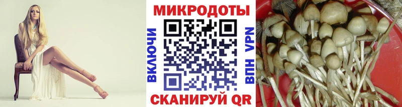 Псилоцибиновые грибы Cubensis  Якутск 